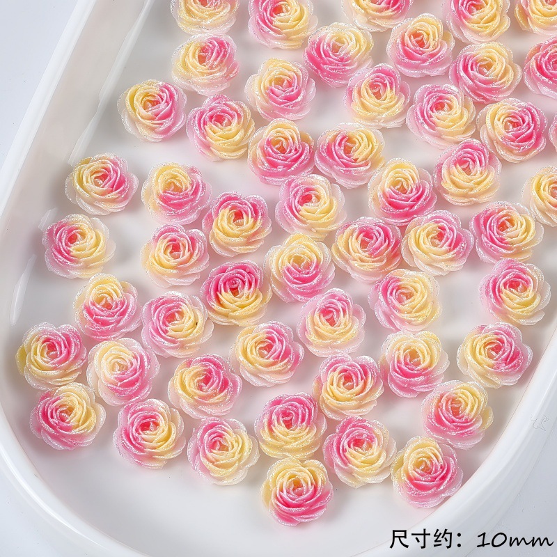 50 Stuks Willekeurige Diverse  - Flower Preservation Resin recensie en prijs
